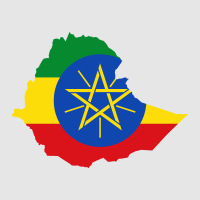 Ethiopia Yirgacheffe Honey Processed – Koke Coop